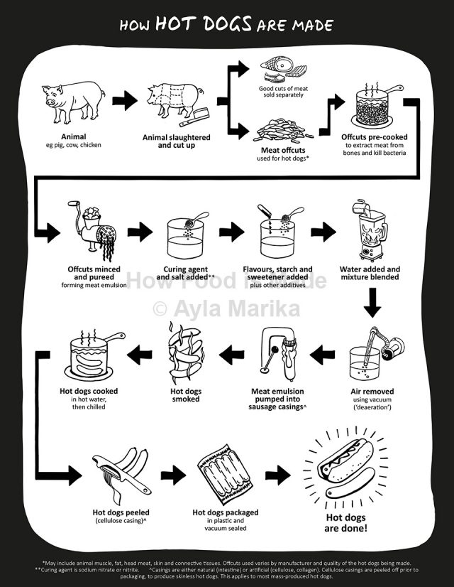 What are Hot Dogs & How Are They Processed? How Food is Made