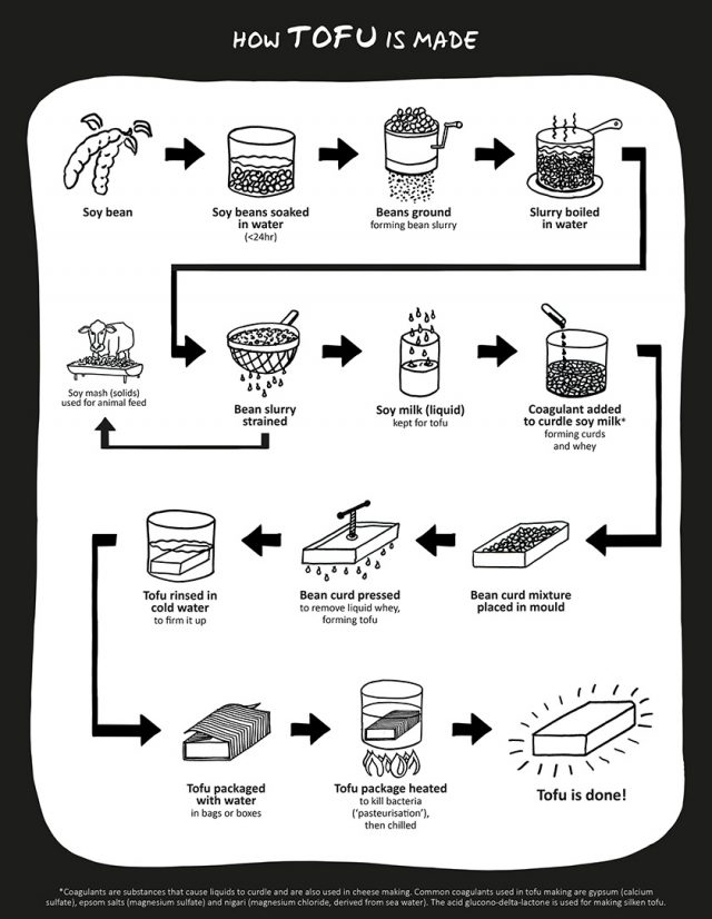 What is Tofu made out of? How Food is Made