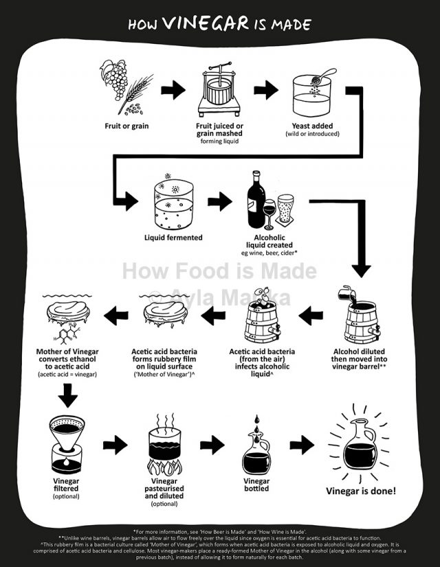 What is in Vinegar? How Food is Made