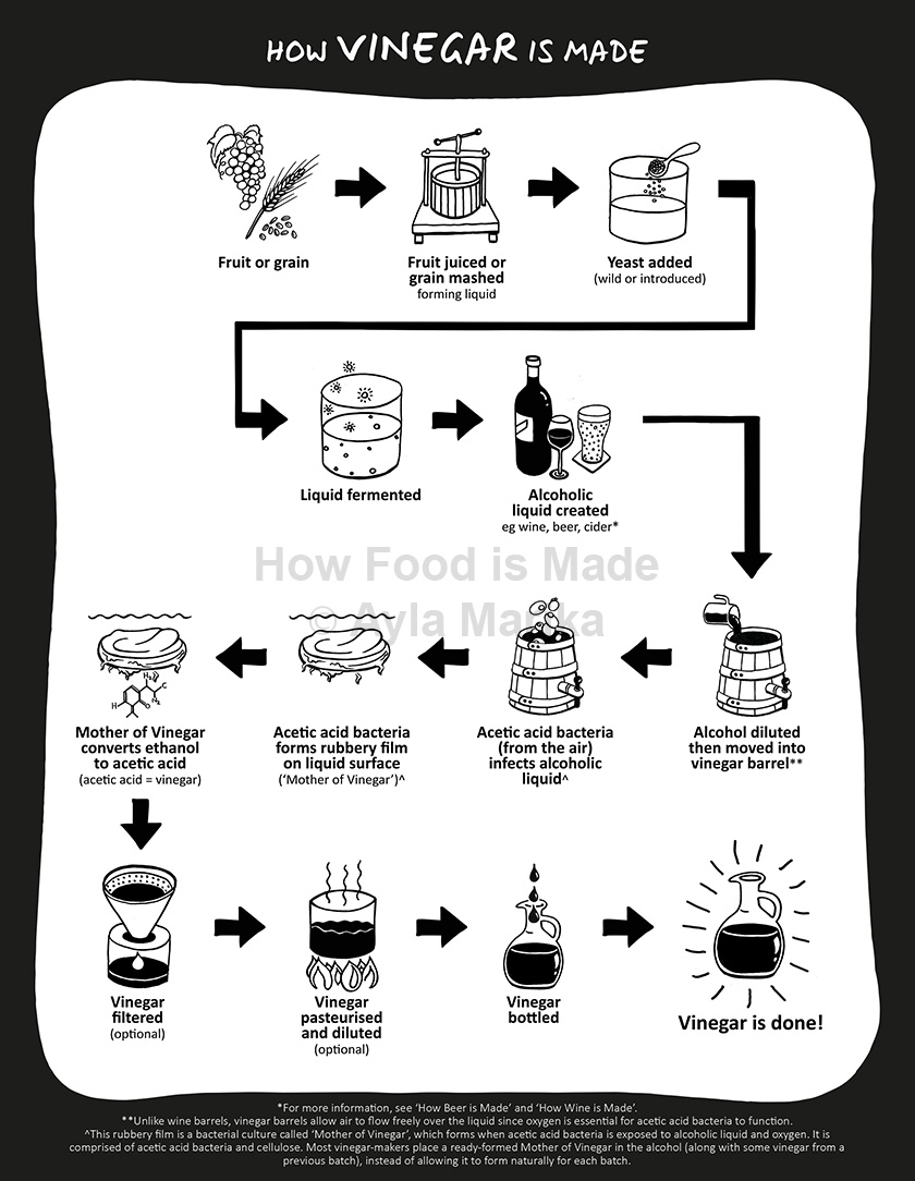 how vinegar is made infographic